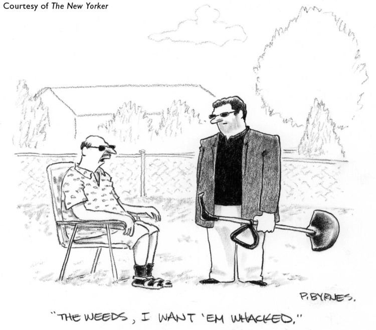Pat Byrnes New Yorker Cartoonist Pat Byrnes The Dinner Party