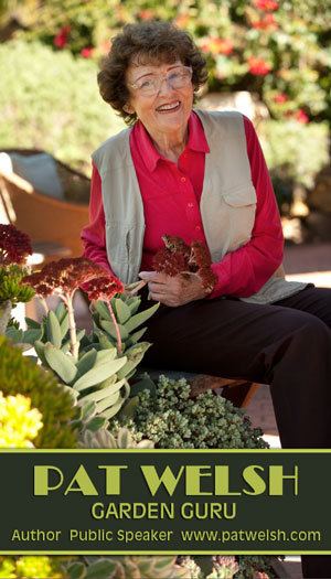 Pat Welsh (author) About Pat Welsh Organic and Southern California Gardening