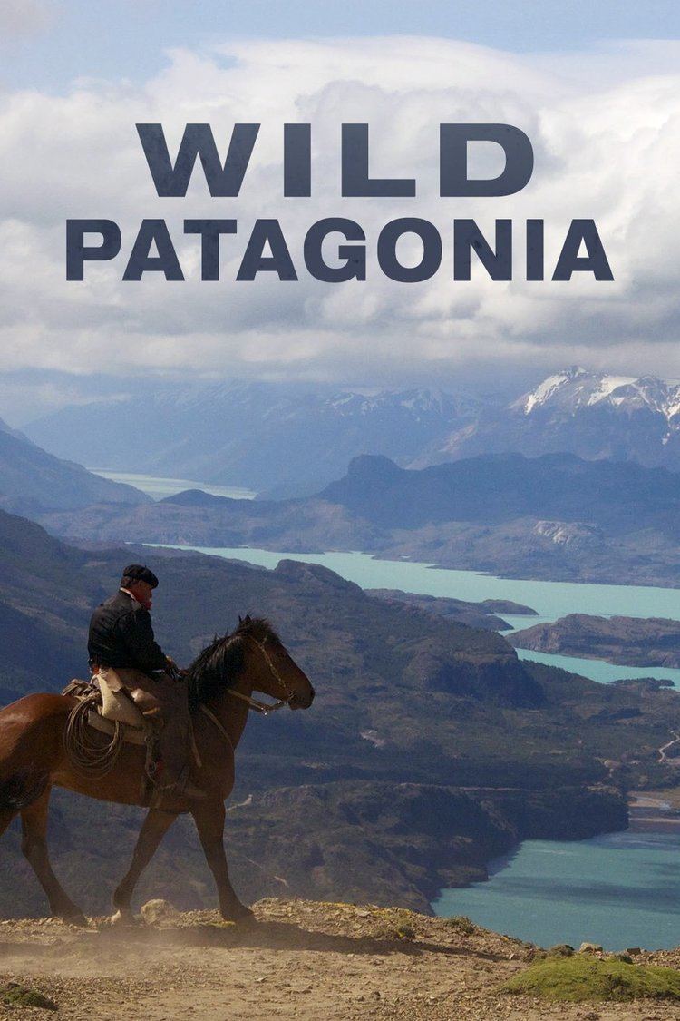 Patagonia: Earth's Secret Paradise wwwgstaticcomtvthumbtvbanners12117872p12117