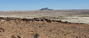 Patagonian Desert httpsuploadwikimediaorgwikipediacommonsthu