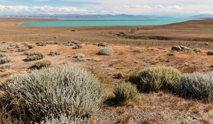 Patagonian Desert Where Does The Patagonian Desert Lie WorldAtlascom