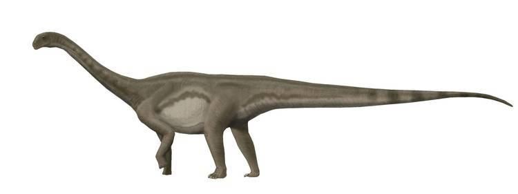 Patagosaurus FilePatagosaurusjpg Wikimedia Commons