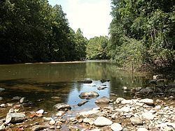 Patapsco River httpsuploadwikimediaorgwikipediacommonsthu