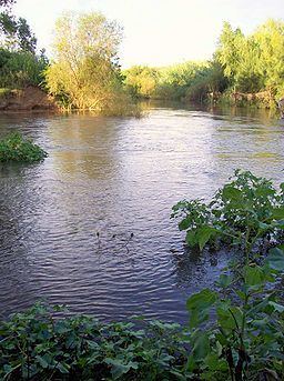 Paterson River httpsuploadwikimediaorgwikipediacommonsthu