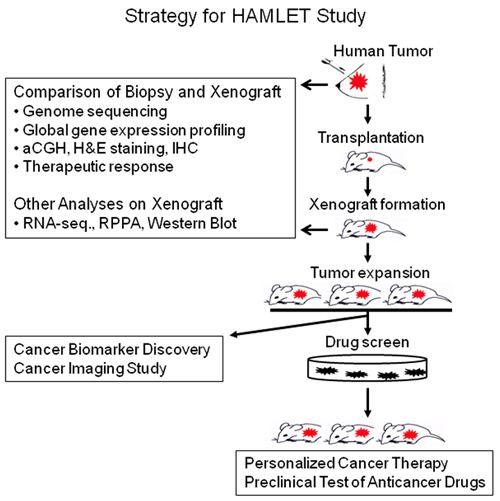 Patient-derived tumor xenograft Shunqiang Li