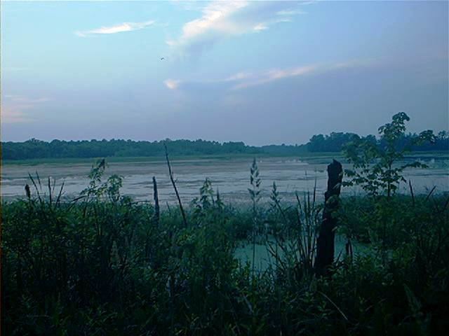 Patoka River National Wildlife Refuge and Management Area httpsindianastorytellerfileswordpresscom201