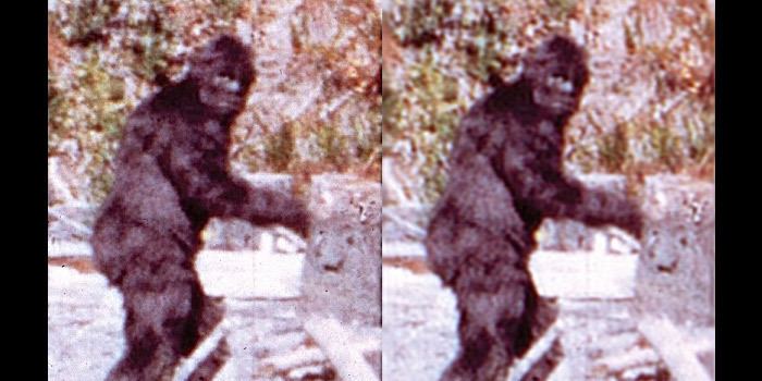 Patterson–Gimlin film The PattersonGimlin Film of Bigfoot What Skeptics Still Struggle