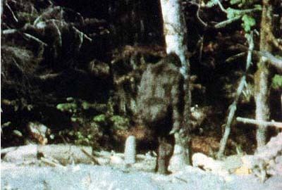 Patterson–Gimlin film Was the PattersonGimlin film ever proven to be a hoax
