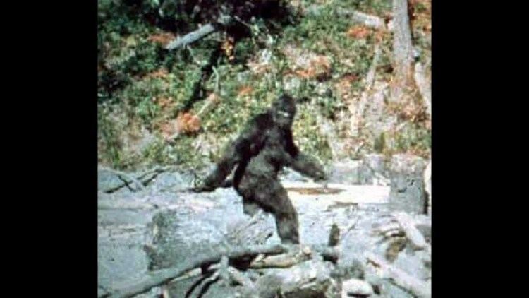 Patterson–Gimlin film Patterson Bigfoot Footage HD 720p Enhanced amp Stabalized Analysis
