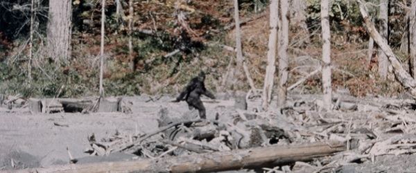 Patterson–Gimlin film Here39s What the Bigfoot PattersonGimlin Film Looks Like When It39s