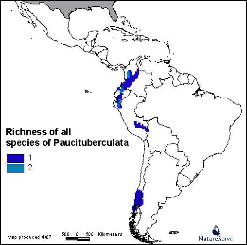 Paucituberculata InfoNatura Latin America Species Richness Maps
