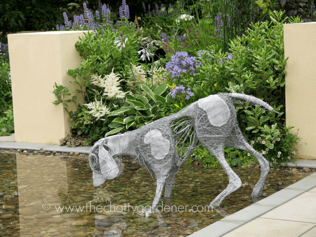 Paul Hervey-Brookes Hampton Court reflections The Chatty Gardener