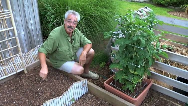 Paul James (gardener) Paul James GGTV Whats Happening With My Vegetable Garden