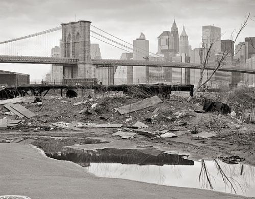 Paul Raphaelson Remembering the Dumbo Wilderness by Paul Raphaelson