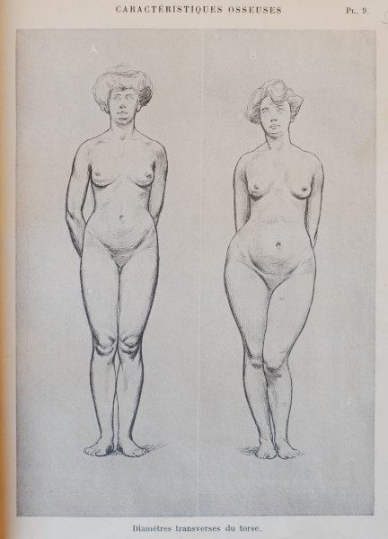 Paul Richer Excerpts from Female Anatomy by Dr Paul Richer Scott Eaton