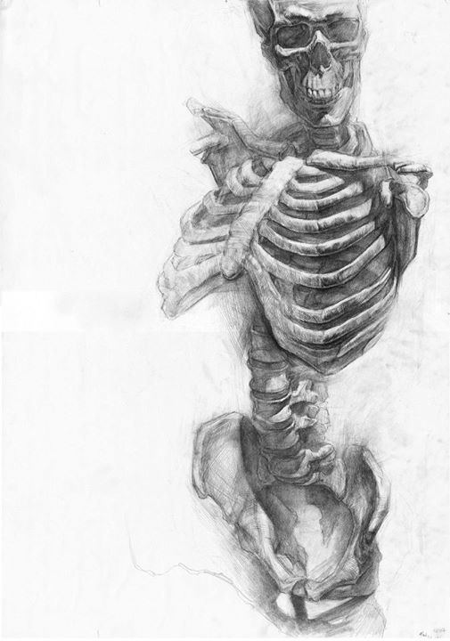 Paul Schwarz Skeleton drawings by Paul Schwarz