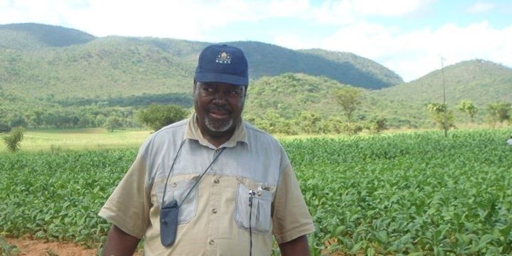 Paul Tangi Mhova Mkondo FilePaul Tangi Mhova Mkondo Indigenous Commercial Farmerjpeg