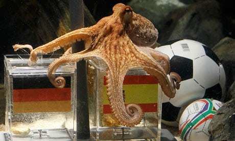 Paul the Octopus httpsiguimcoukimgstaticsysimagesSportP