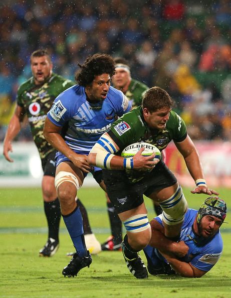 Paul Willemse Paul Willemse Photos Photos Super Rugby Rd 11 Force v Bulls Zimbio