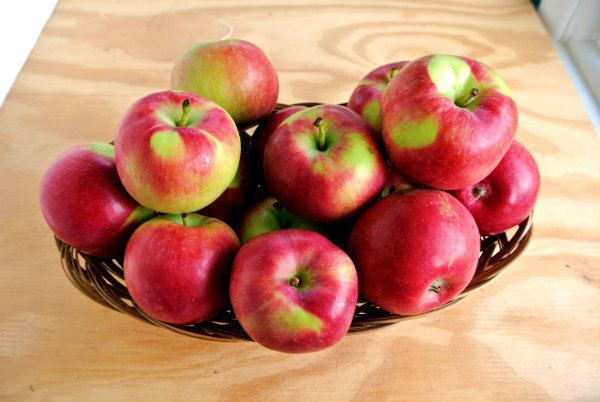 Paula Red Paula Red Apples Eat Like No One Else