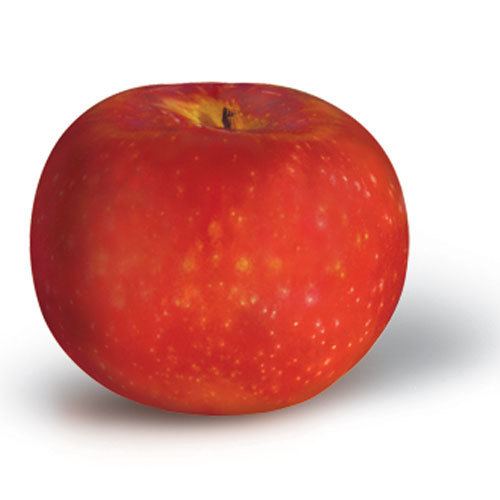 Paula Red Apple Varieties of New York State Paula Red NY Apple Association