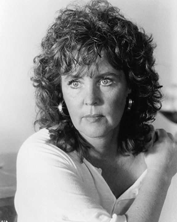 Pauline Collins Pictures amp Photos of Pauline Collins IMDb