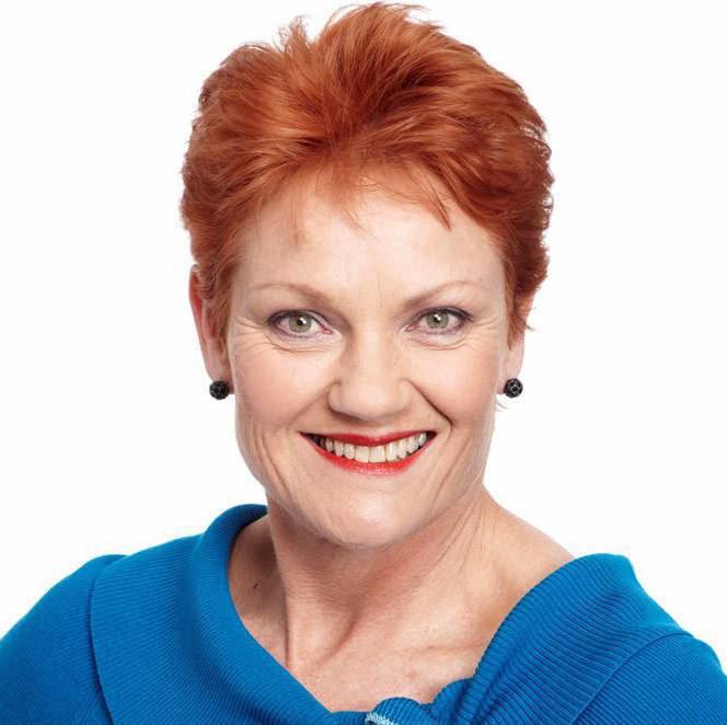 Pauline Hanson wwwonenationcomauimagescandidatesPauline20P