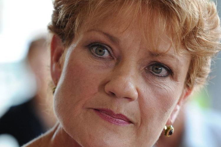 Pauline Hanson Pauline Hanson picks NSW seat for election tilt ABC News