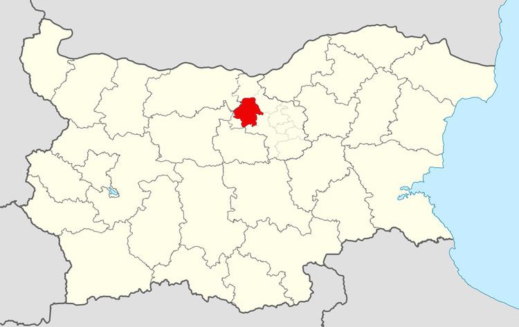 Pavlikeni Municipality