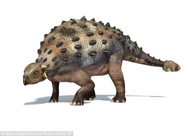 Pawpawsaurus The dinosaur that nose how to beat predators Daily Mail Online