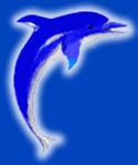 PCU Dolphins httpsuploadwikimediaorgwikipediaenthumb6