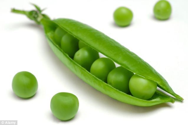 Pea Bumper pea crop thanks to perfect growing conditions Daily Mail Online