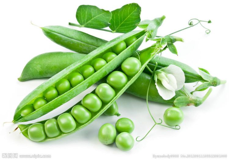 Pea Popular Snow Peas SeedsBuy Cheap Snow Peas Seeds lots from China