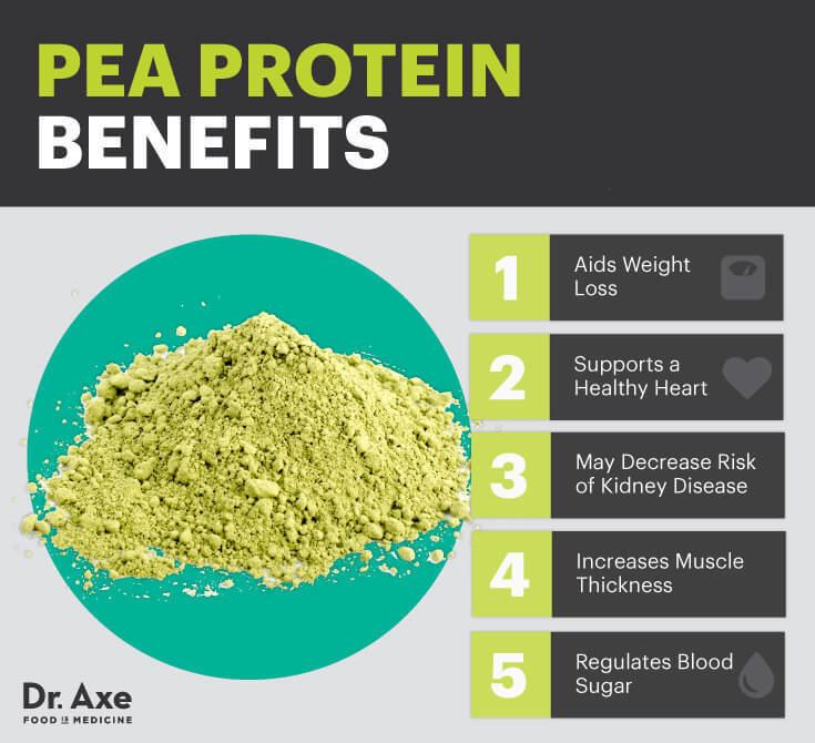 Pea protein Pea Protein The NonDairy Muscle Builder