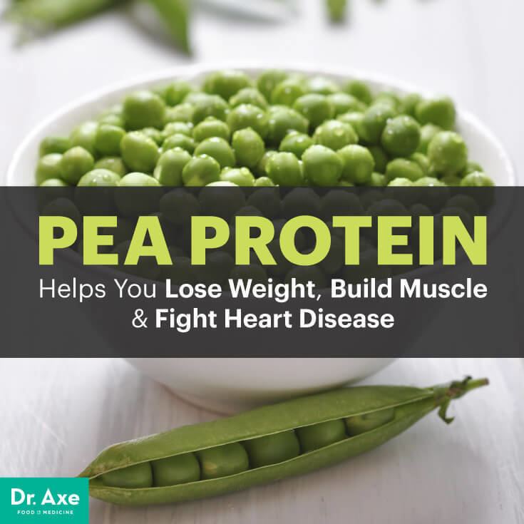Pea protein Pea Protein The NonDairy Muscle Builder