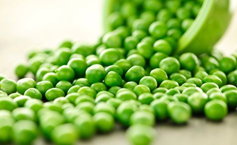 Pea protein The Power of Pea Protein