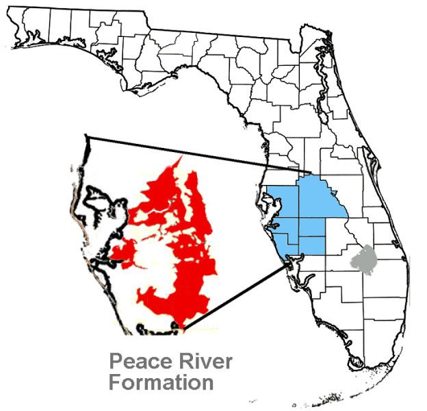 Peace River Formation (Florida)