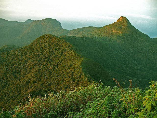 Peak Wilderness Sanctuary Adam39s Peak And Peak Wilderness Sanctuary Ceylon Discovery Tours