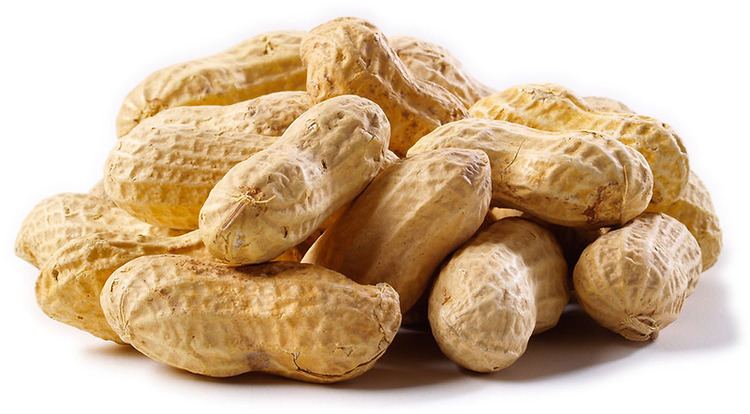 Peanut Buy Peanuts and Peanut Products Nutscom