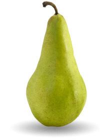 Pear List of Ten Pear Varieties USA Pears