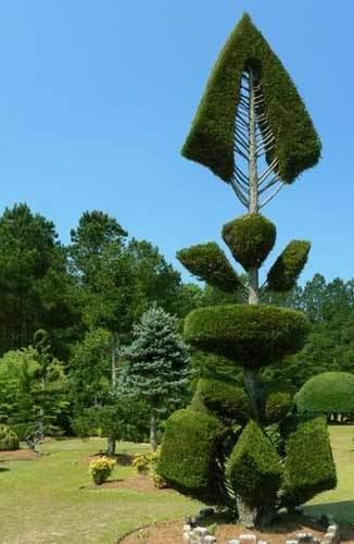 Pearl Fryar Pearl Fryar Topiary Garden Bishopville Lee County South Carolina