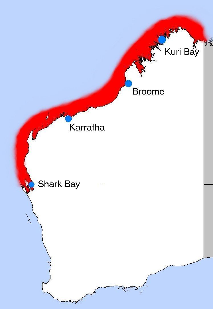 Pearling in Western Australia