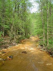 Pełcznica (river) httpsuploadwikimediaorgwikipediacommonsthu