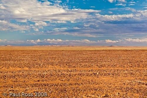 Pedirka Desert LandscapesOutback Australia