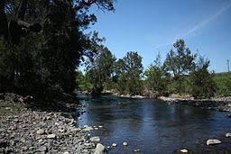 Peel River (New South Wales) httpsuploadwikimediaorgwikipediacommonsthu