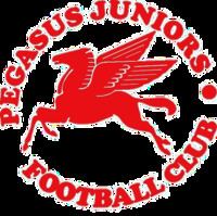 Pegasus Juniors F.C. httpsuploadwikimediaorgwikipediaenthumbb