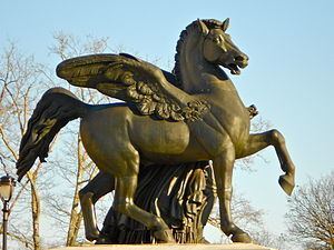 Pegasus (Pilz) httpsuploadwikimediaorgwikipediacommonsthu