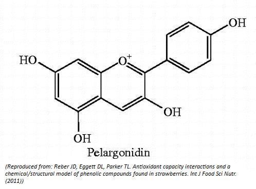 Pelargonidin Pelargonidin Scientific Review on Usage Dosage Side Effects