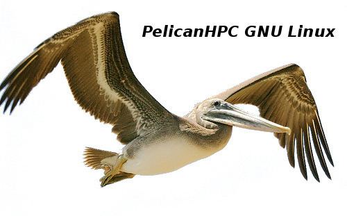 PelicanHPC