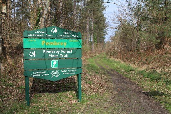 Pembrey Country Park Pembrey Country Park Wales Top Tips Before You Go TripAdvisor